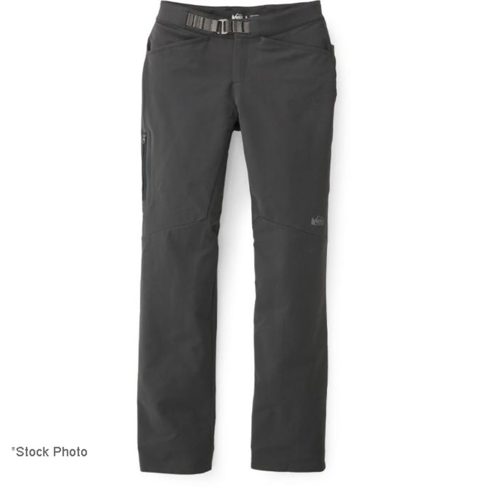 REI Co-op Activator V2 Soft-Shell Pants 2 Petite